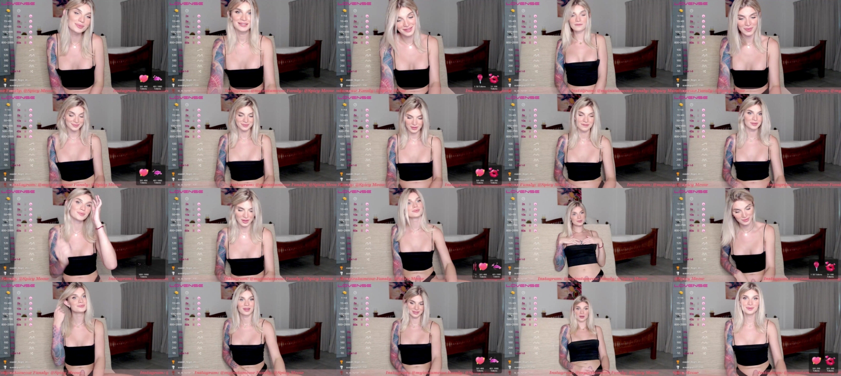 spicy_meow  23-06-2022